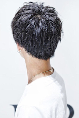 ワイラーマッシュショート