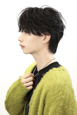 シースルーフェザーショート