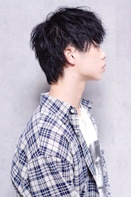 ラフシースルーウルフ