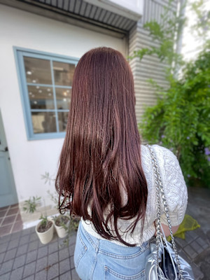 ピンクラベンダー