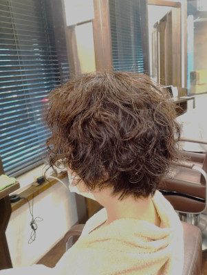 【MASA 】カーリーショート／武蔵浦和店