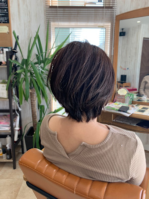 Vicella×スタイル