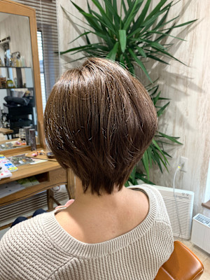 Vicella×スタイル