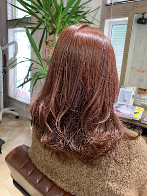 Vicella×スタイル