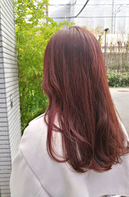 カシスパープル