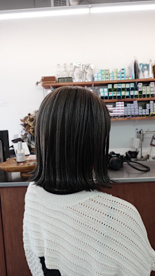 デザインカラー / ボブ