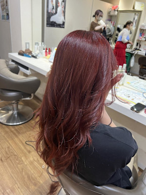 ブリーチなしダブルカラー/ワインレッド