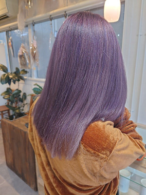 バイオレットカラー