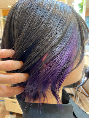 インナーカラー/パープル