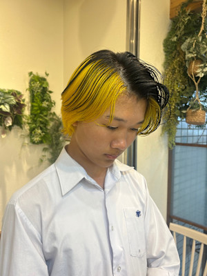 デザインカラー／ブラックイエロー