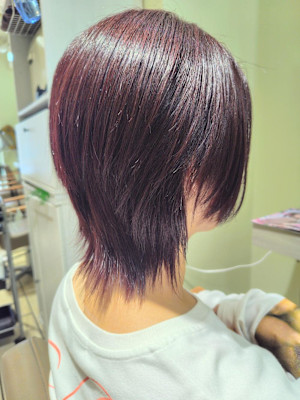 ウルフショート/レッドカラー/メンズライク