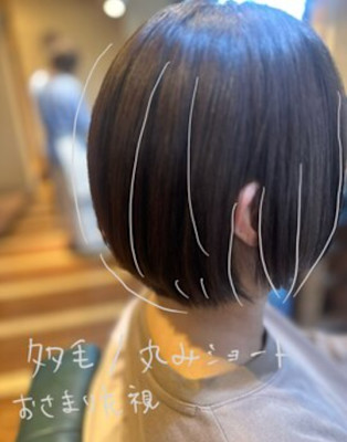 ショートボブ／多毛／レイヤースタイル