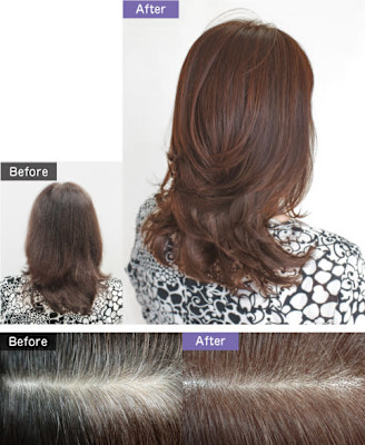 SACHET【サシェイ】×スタイル