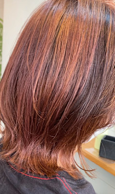 ミディアムウルフ＋カラー