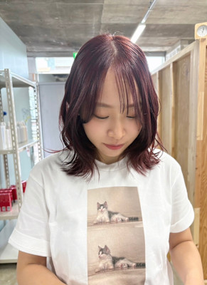 暖色カラー/カシスレッド