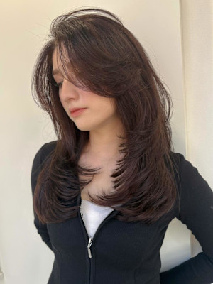 海外バタフライレイヤー　深みブラウン　イルミナカラー~*