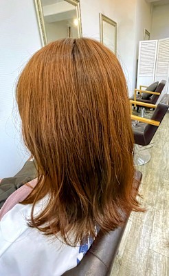 ワンカラーオレンジ