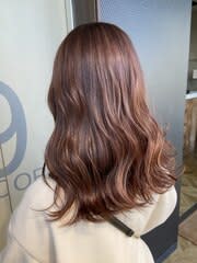 アプリコットブラウンブリーチなし