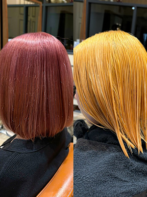 Neolive em；元住吉店×スタイル