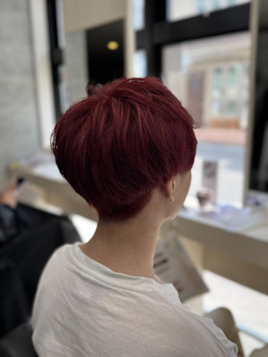 ビビッドなチェリーレッド × 美シルエットショート