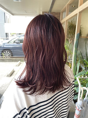 レッドブラウン☆