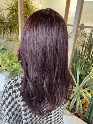 ヴィラロドラカシスピンク