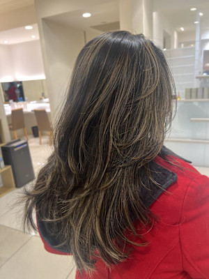 ロングレイヤー