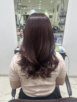 ピンクラベンダー