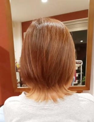 くらげエイテットボブ