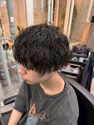 Clear by Forest. 流山おおたかの森×スタイル