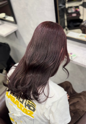 ワンカラー×ボルドー