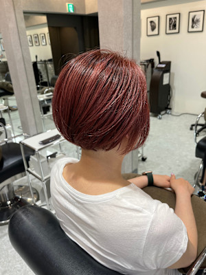 ショートヘアー