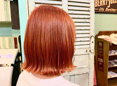 THE BEEHIVE DELUXE　カットカラーTR