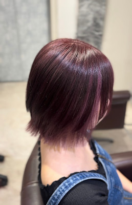 カシスカラー×インナーカラー