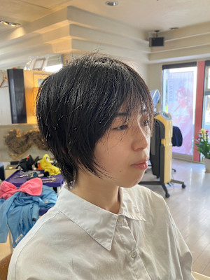 マッシュレイヤーウルフ