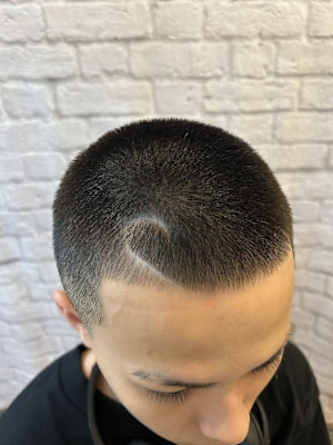 ラインボウズフェード