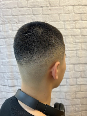 ラインボウズフェード