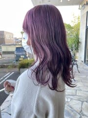 ピンクラベンダー