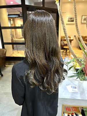 【Lolonois中津】オリーブブラウン