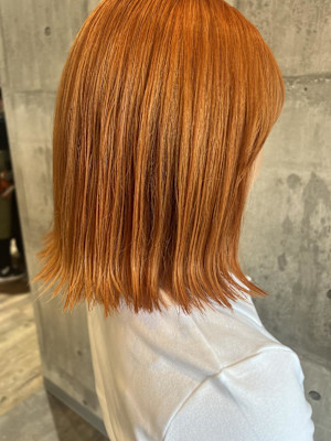 ボブ／ダブルカラー