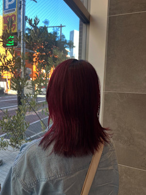 チェリーレッドブラウン