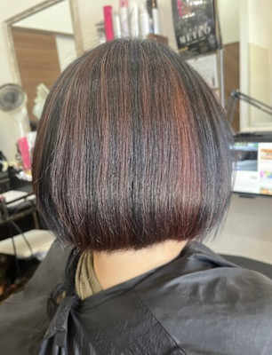 METEOアンブレラカラー