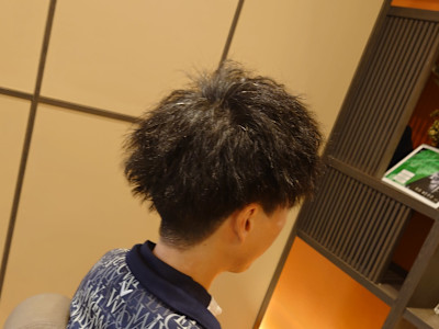 LashinVan HOMME×スタイル
