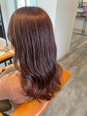 ピンクラベンダー