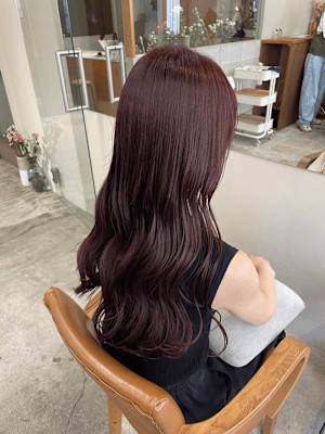 《花屋併設》ピンクラベンダー 