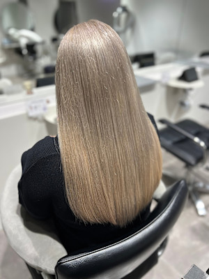 WISTERIA ANNEX 銀座×スタイル