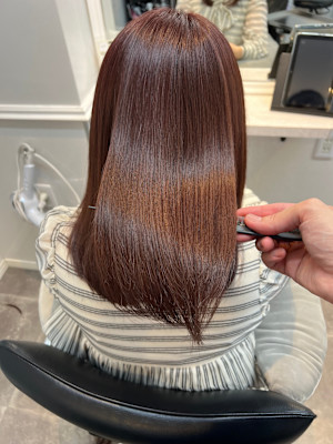 WISTERIA ANNEX 銀座×スタイル