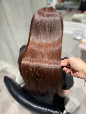 WISTERIA ANNEX 銀座×スタイル