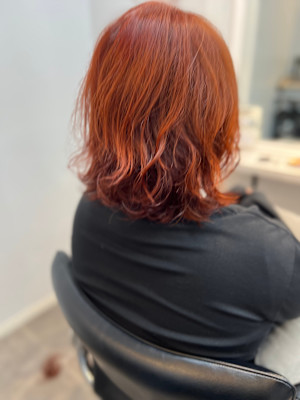 WISTERIA ANNEX 銀座×スタイル