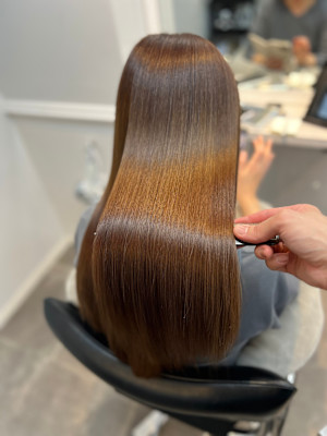 WISTERIA ANNEX 銀座×スタイル